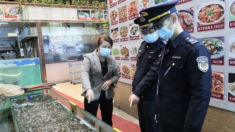 米面制品冷链运输，报价单背后的考量因素**